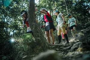 BIB: 
                            <button type="button" onclick="openModal(25990765)" class="btn btn-primary btn-sm float-right btn-popup" data-toggle="modal" data-target=".modal-high-quality">
                        <i class="fas fa-shopping-cart"></i> Add to Cart
                    </button>
                                            <button type="button" onclick="isThisMe(25990765, true)" class="btn btn-success btn-sm float-right btn-popup btn-isme hidden" data-toggle="tooltip" data-placement="bottom" title="นี่คือรูปของคุณใช่ไหม คลิกที่นี่เพื่อเอาเข้าอัลบั้ม">
                        <i class="fas fa-plus"></i> Add to album
                    </button>
                    <button type="button" onclick="isThisMe(25990765, false)" class="btn btn-warning btn-sm float-right btn-popup btn-isnotme hidden">
                        <i class="fas fa-ban"></i> Remove from album
                    </button>